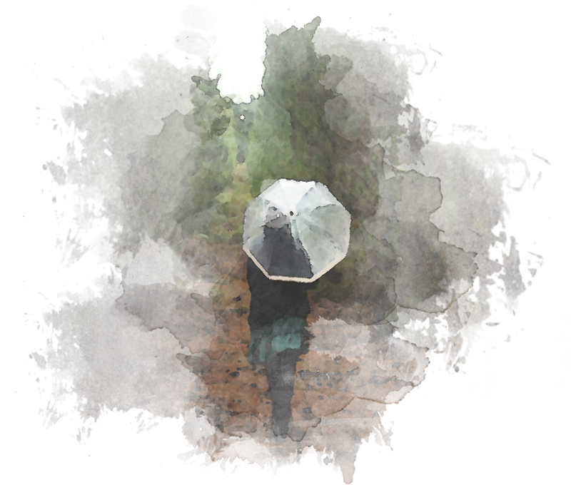 Schweiz. Verband der Bestattungsdienste Eine Person geht mit einem Regenschirm durch einen Wald.